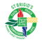 St Brigid's Primary School